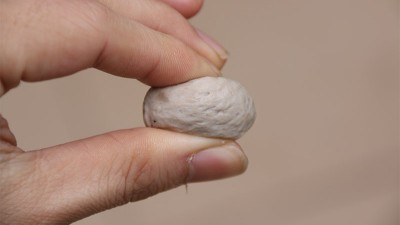 做肉丸用什么可以代替高彈素達到增彈增脆的效果？
