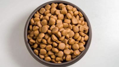貓糧風味劑的生產如何選擇酶制劑？