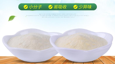 牛皮酶解提取牛皮膠原蛋白肽生產(chǎn)工藝是什么？