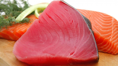 如何酶解金槍魚提高寵物貓糧誘食劑風(fēng)味性？