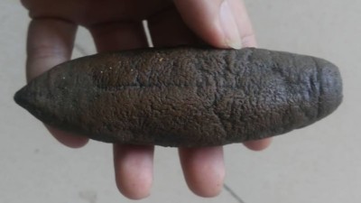 海參外皮怎么處理干凈，使用木瓜蛋白酶還是復合酶呢