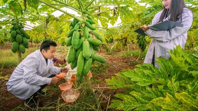 酶制劑公司排名：哪個廠家在食品、飼料、工業(yè)領(lǐng)域拔得頭籌