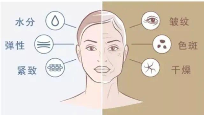 酶解鱈魚皮制備膠原蛋白的影響因素有哪些？