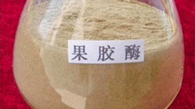 果膠酶的作用原理，正確使用方法與用量