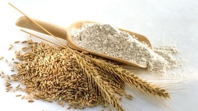 如何利用小麥蛋白酶解制備小麥蛋白多肽？