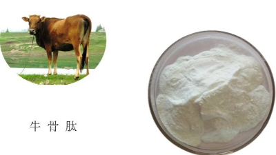 蛋白酶解技術助力牛骨蛋白酶解呈味肽品質(zhì)升級