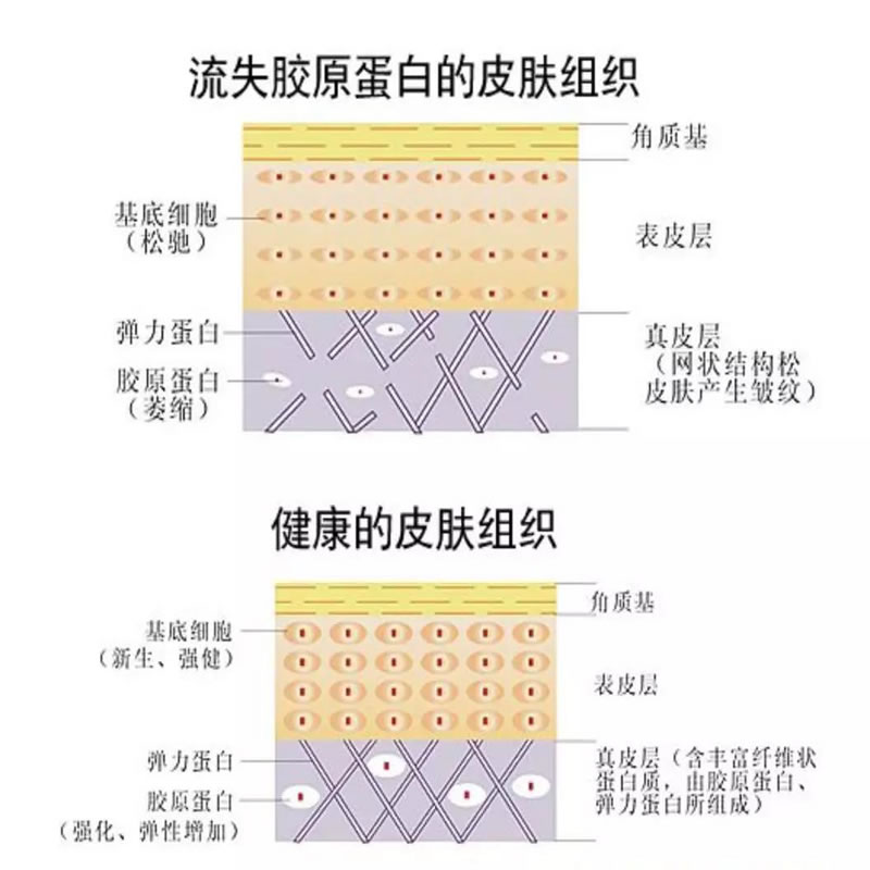 美容護膚品