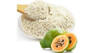 蛋白酶在食品加工中有哪些作用？