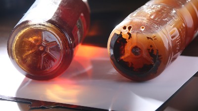 酒曲與酶制劑有什么區(qū)別？?jī)蓚€(gè)可以同時(shí)使用嗎？