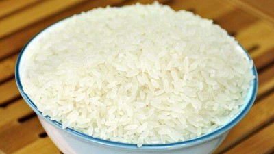制取大米蛋白肽，需要用到的酶制劑有哪些？