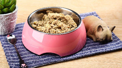 木瓜蛋白酶酶解牛肉生產(chǎn)寵物誘食劑的關(guān)鍵控制點是什么？