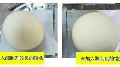 一文詳解面包酶制劑有什么作用？