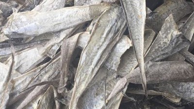 水解魚皮做膠原蛋白肽有苦味，風味酶能去除苦味嗎？