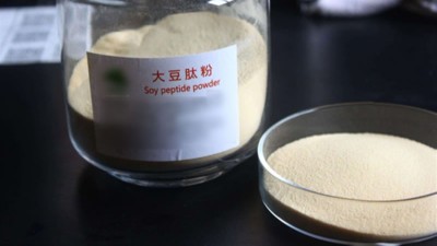 生產(chǎn)大豆低聚肽與多肽會用到哪些酶制劑？