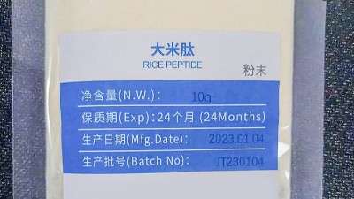 復配蛋白酶賦能大米蛋白肽——從工藝突破到功能升級