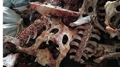 牛骨、豬骨蛋白胨生產(chǎn)，適合的酶制劑有哪些呢？